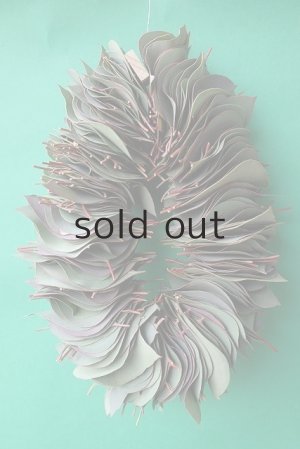 画像8: Dry plants for decor ユーカリリーフリース