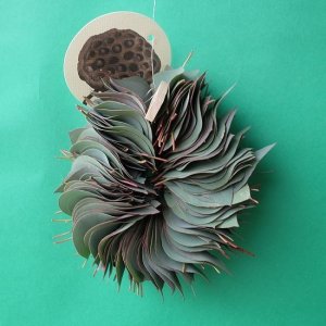 画像1: Dry plants for decor ユーカリリーフリース