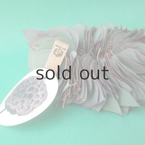 画像6: Dry plants for decor ユーカリリーフリース