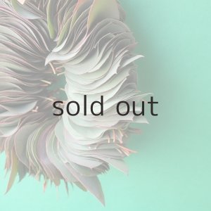 画像7: Dry plants for decor ユーカリリーフリース