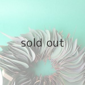 画像3: Dry plants for decor ユーカリリーフリース