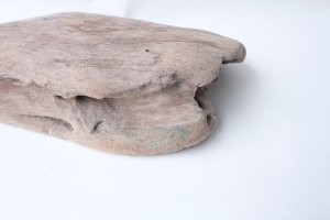 画像7: 変形流木