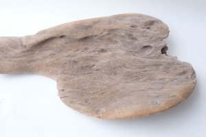 画像12: 変形流木