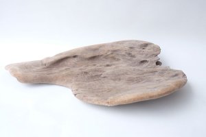 画像11: 変形流木