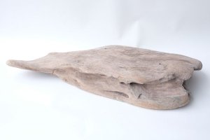 画像6: 変形流木