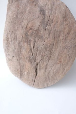 画像2: 変形流木