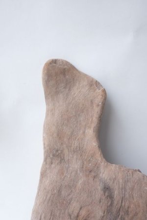 画像3: 変形流木