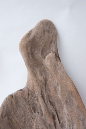 画像5: 変形流木