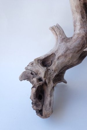 画像2: 変形流木