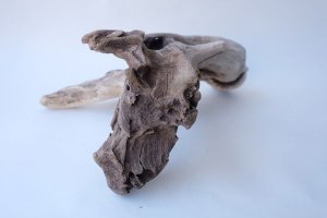 画像9: 変形流木