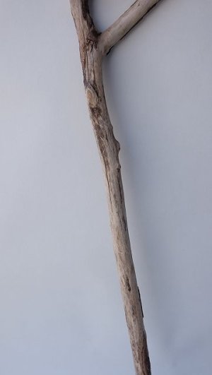 画像3: 枝流木