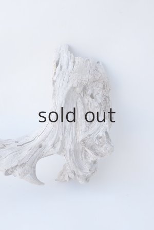 画像4: 変形流木