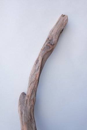 画像3: 変形流木