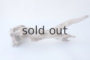 画像7: 変形流木