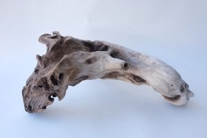 画像8: 変形流木