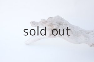 画像3: 変形流木