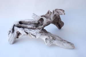 画像7: 変形流木