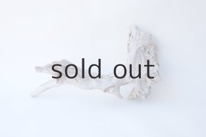 画像2: 変形流木