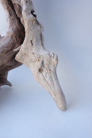 画像3: 変形流木