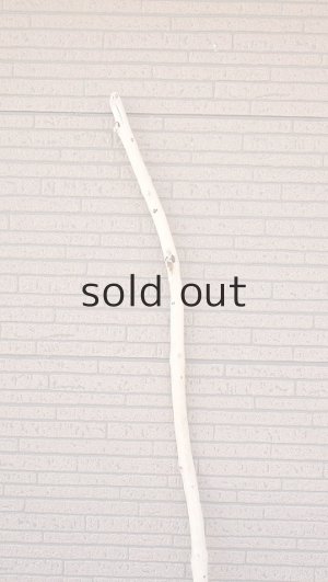 画像5: 棒流木・長尺