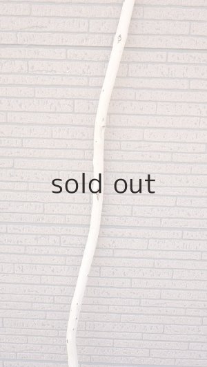 画像3: 棒流木・長尺