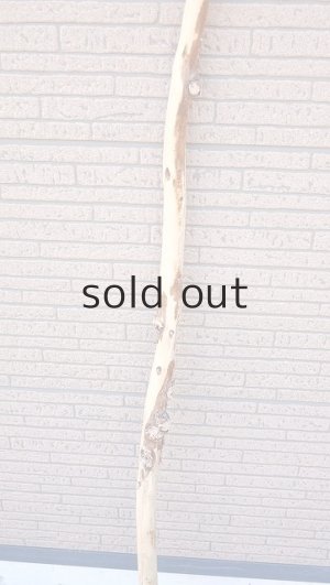 画像3: 棒流木・長尺