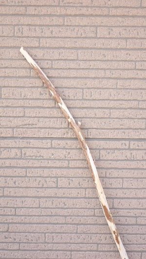 画像5: 棒流木