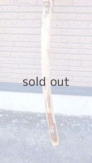 画像2: 棒流木・長尺