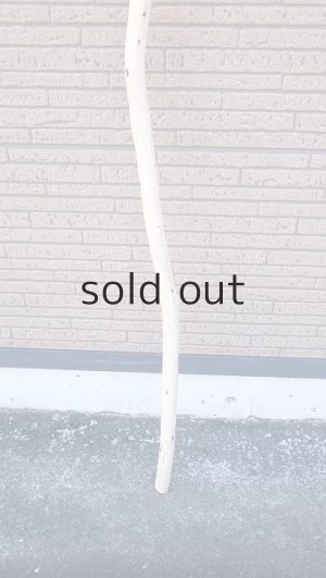 画像2: 棒流木・長尺