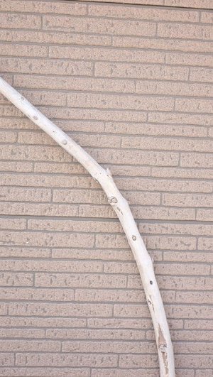 画像4: 棒流木・長尺