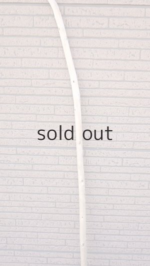 画像3: 棒流木・長尺