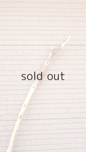 画像5: 棒流木・長尺