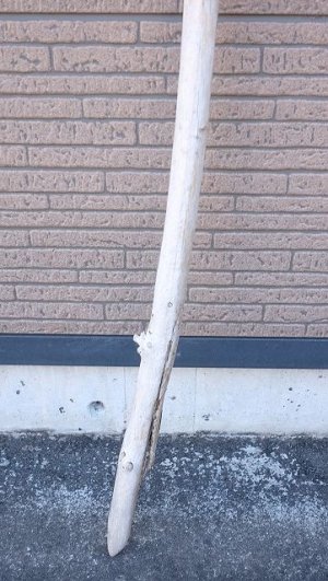 画像2: 棒流木・長尺