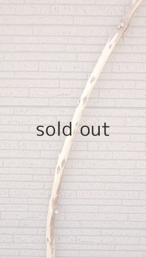 画像4: 棒流木・長尺