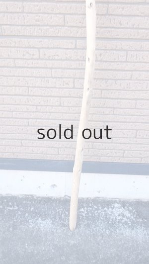 画像2: 棒流木・長尺