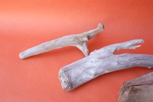 画像6: 流木根セット