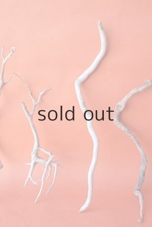 画像3: 流木根セット