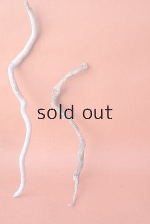 画像4: 流木根セット