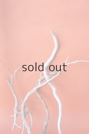 画像6: 流木根セット