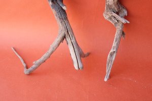 画像2: 流木根セット