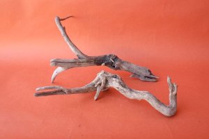 画像5: 流木根セット