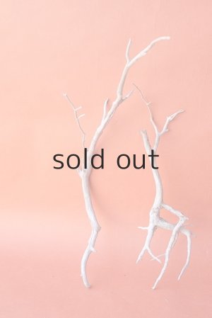 画像2: 流木根セット