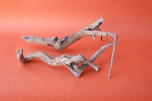 画像4: 流木根セット