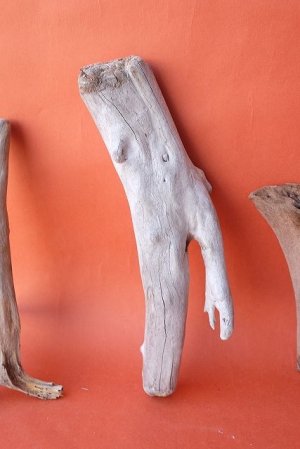 画像3: 流木根セット