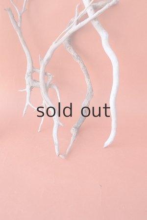 画像5: 流木根セット