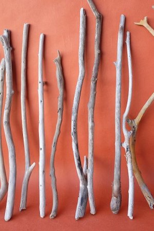 画像4: 小枝流木セット