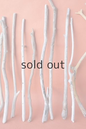 画像4: 小枝流木セット