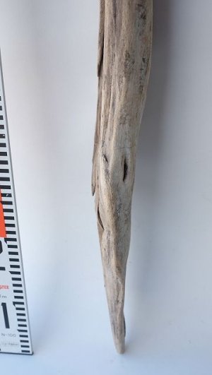 画像9: 変形流木・中型