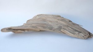 画像7: 変形流木