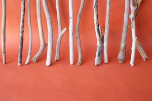 画像6: 小枝流木セット